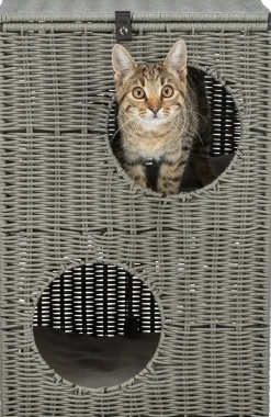 Abri Amalia, en polyrattan, 2 étages, carré 37 × 57 × 35 cm, gris