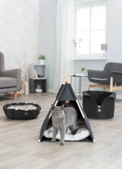 Abri Tipi