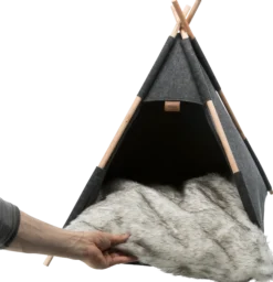 Abri Tipi