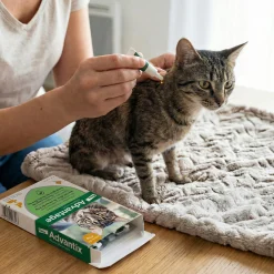 Advantage 40, pour chat, 4 pipettes de 0.4 ml