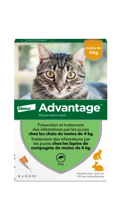 Advantage 40, pour chat, 4 pipettes de 0.4 ml