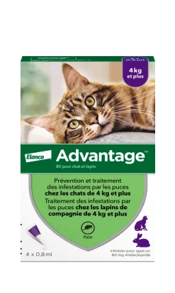 Advantage 80, pour chat, 4 pipettes de 0.8 ml