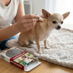 Advantix, chien inférieur à 4 kg, 4 pipettes de 0.4 ml