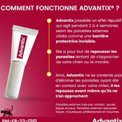 Advantix, chien 10/25 kg, 6 pipettes de 2.5 ml