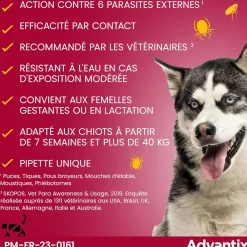 Advantix, chien 25/40 kg, 4 pipettes de 4 ml