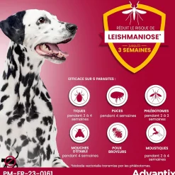 Advantix, chien 25/40 kg, 6 pipettes de 4 ml