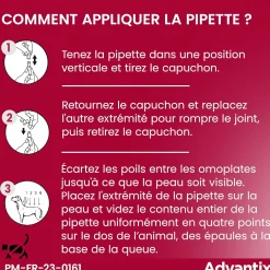 Advantix, chien 25/40 kg, 6 pipettes de 4 ml