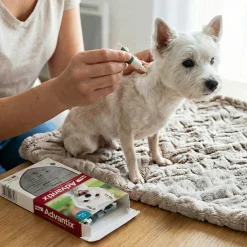 Advantix, chien 4/10 kg, 6 pipettes de 1 ml
