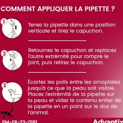 Advantix, chien 4/10 kg, 6 pipettes de 1 ml