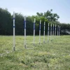 Agility Run Slalom 2 en 1 - Agility K9 Sport