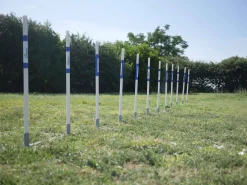 Agility Run Slalom 2 en 1 - Agility K9 Sport