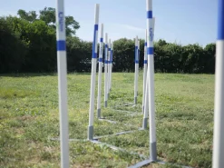 Agility Run Slalom 2 en 1 - Agility K9 Sport