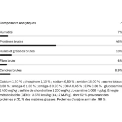 Alleva Care chat adult obesity glycemic control