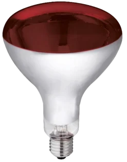 Ampoule infrarouge 250 W