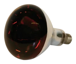Ampoule infrarouge 250 W