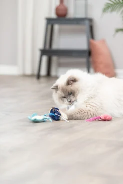 Animaux marins, en peluche, catnip, 5-8 cm, produit assorti