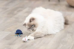 Animaux marins, en peluche, catnip, 5-8 cm, produit assorti