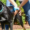Aquapaw pet bathing tool - Gant de lavage