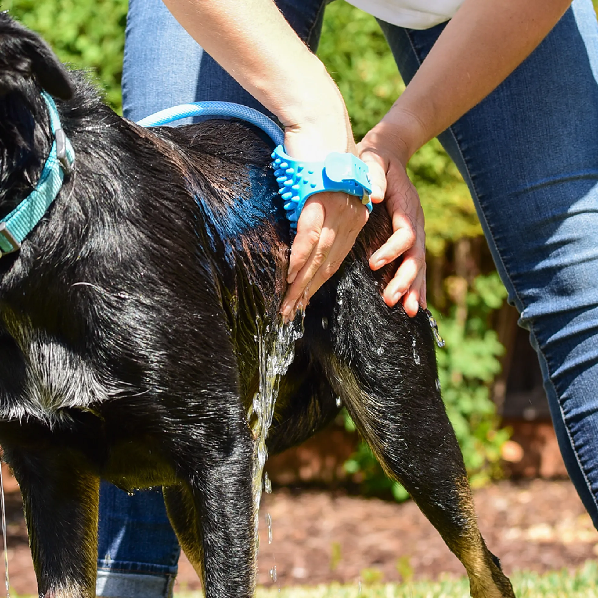Aquapaw pet bathing tool - Gant de lavage