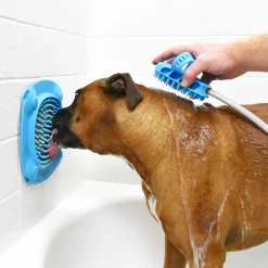 Aquapaw slow treater XL, ventouse capteur d'attention