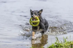 Aqua toy balle de préhension, en TPR, diamètre 17 cm