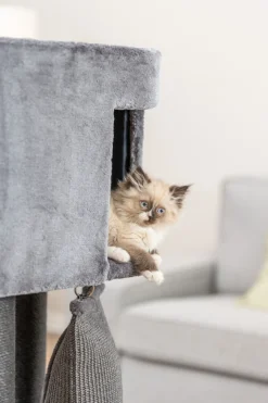 Arbre à chat Activ, gris avec rampe d'escalade, 122 cm