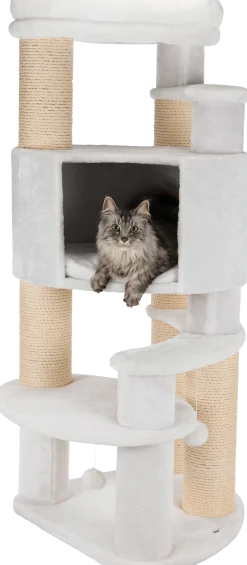 Arbre à chat XXL Zita
