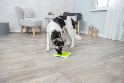 Assiette à lecher Lick n Snack