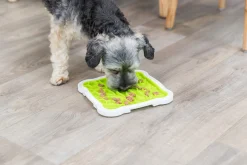 Assiette à lecher Lick n Snack