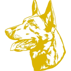 Autocollant or Malinois tête, 30 cm