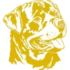 Autocollant or Rottweiler, 30 cm