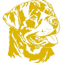 Autocollant or Rottweiler, 30 cm