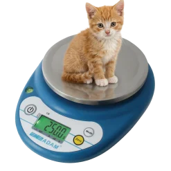 Balance compacte CB