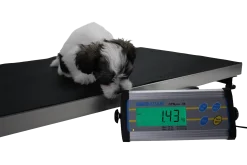 Balance vétérinaire pour pesée d'animaux, capacité 75 kg