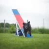 Balancoire Agility K9 Sport Aluminium et Tartan