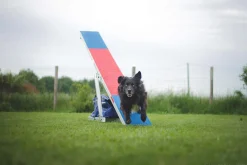 Balancoire Agility K9 Sport Aluminium et Tartan
