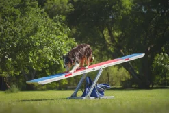 Balancoire Agility K9 Sport Aluminium et Tartan