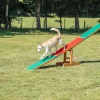 Balançoire agility