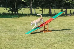 Balançoire agility