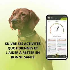 Balise de localisation GPS KIPPY EVO brown wood