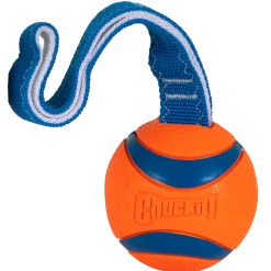 Balle Chuckit Ultra Tug Large avec poignée
