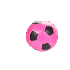 Balle de foot