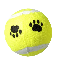 Balle de tennis