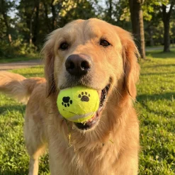 Balle de tennis