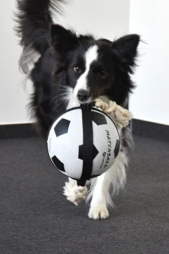 Balllon de foot avec corde, Action Ball