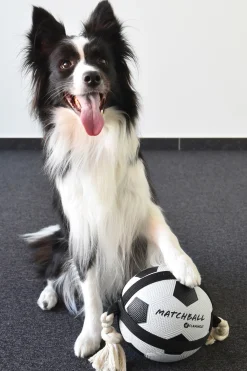 Balllon de foot avec corde, Action Ball