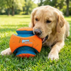 Ballon pour chien, Chuckit Kick Fetch, 15 cm