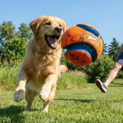 Ballon pour chien, Chuckit Kick Fetch, 21 cm