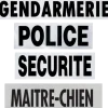 Bandeaux 13 x 5 cm + 27 x 10 cm POLICE (fond retro)