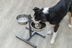 Bar pour chiens, en acier inoxydable/métal, 2 × 1,8 l/ 21 cm